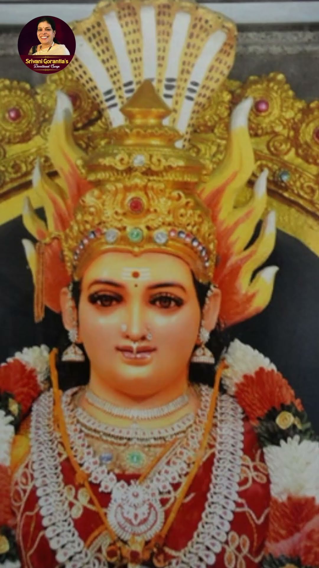 మెరిసిపోయే అమ్మ మాయమ్మా | Sri Devi Stuti | Durga Devi Songs | Devotional Songs | Srivani Gorantla